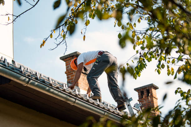 Best Best Roofing Contractors  in Hannibal, MO