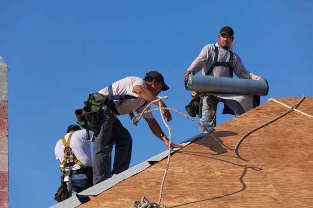 Best Storm Damage Roof Repair  in Hannibal, MO