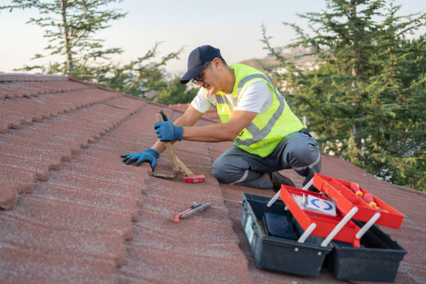 Best Roof Gutter Cleaning  in Hannibal, MO